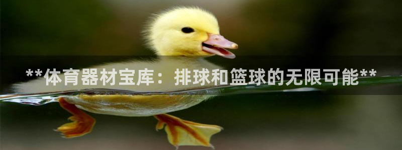 耀世娱乐能提现到微信吗：**体育器材宝库：排球和篮球