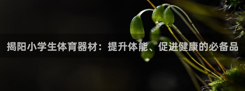 耀世娱乐官网注册流程：揭阳小学生体育器材：提升体能、
