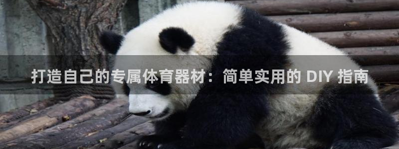 耀世平台注册步骤图：打造自己的专属体育器材：简单实用