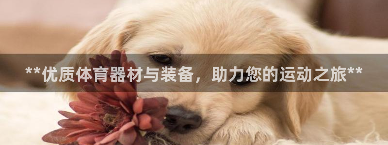 耀世平台代理怎么样啊：**优质体育器材与装备，助力您