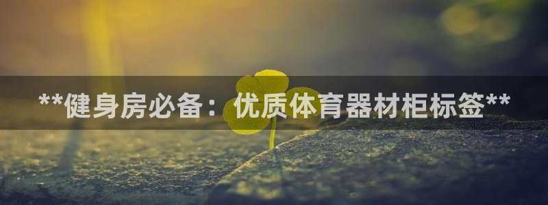 耀世国际平台正规吗可靠吗安全吗：**健身房必备：优质