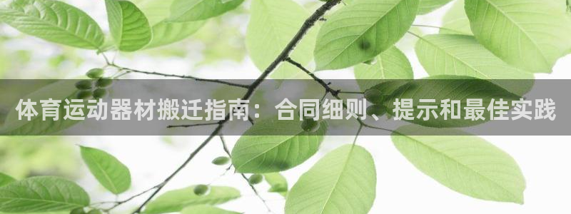 耀世集团耀宗：体育运动器材搬迁指南：合同细则、提示和