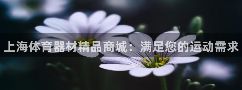 耀世娱乐圈主管什么：上海体育器材精品商城：满足您的运