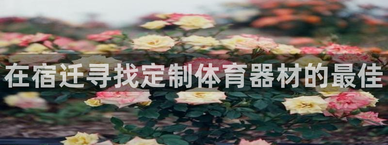 耀世娱乐怎么注册不了：在宿迁寻找定制体育器材的最佳