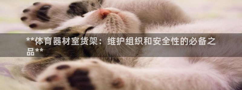 耀世娱乐平台注册登录失败：**体育器材室货架：维护组