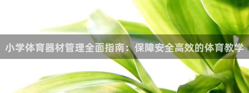 耀世娱乐app下载安装苹果：小学体育器材管理全面指南