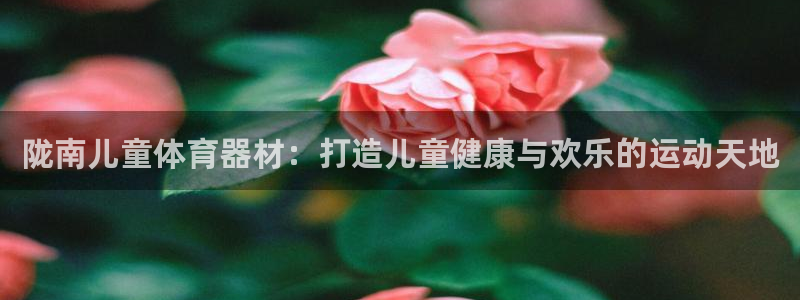 耀世娱乐官网网站入口下载：陇南儿童体育器材：打造儿童