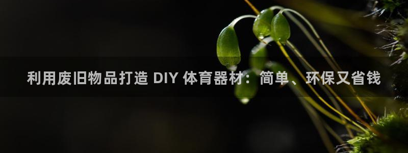 耀世官方网站入口：利用废旧物品打造 DIY 体育器材