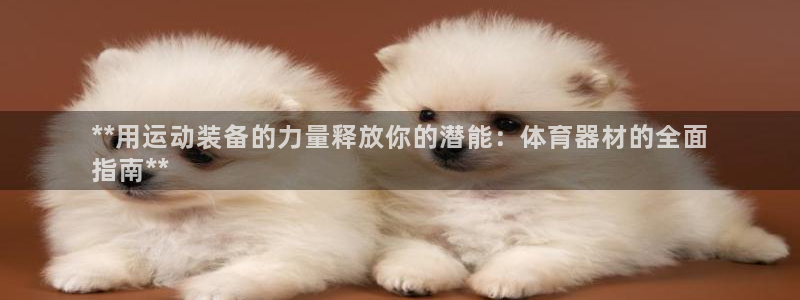 耀世娱乐返点：**用运动装备的力量释放你的潜能：体育