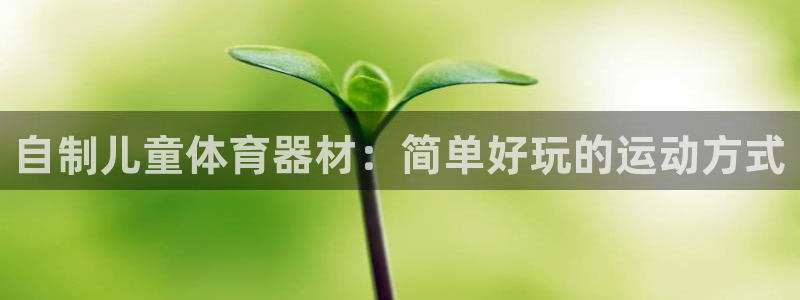 耀世娱乐平台注册地址在哪里查：自制儿童体育器材：简单