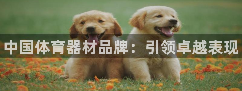 耀世平台注册登录不上怎么回事：中国体育器材品牌：引领