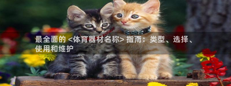 耀世平台网站：最全面的 <体育器材名称> 指南：类型、选择、