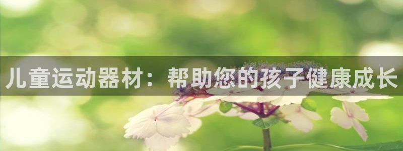 耀世而来：儿童运动器材：帮助您的孩子健康成长