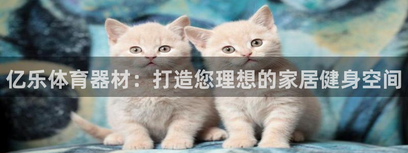 耀世平台列7O777：亿乐体育器材：打造您理想的家居