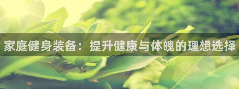 耀世娱乐圈主管什么：家庭健身装备：提升健康与体魄的理