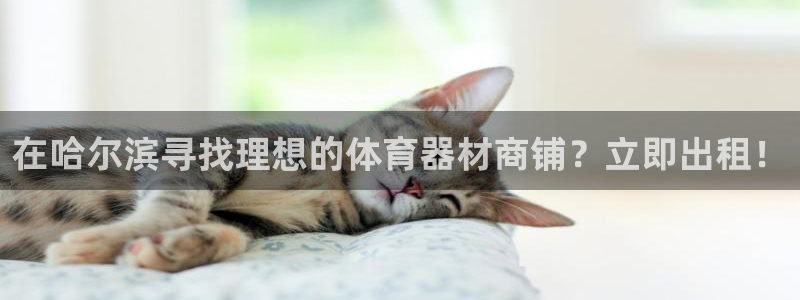 耀世娱乐是什么：在哈尔滨寻找理想的体育器材商铺？立即