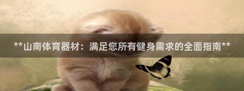 耀世来袭：**山南体育器材：满足您所有健身需求的全面