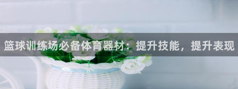 耀世官方网站入口：篮球训练场必备体育器材：提升技能，