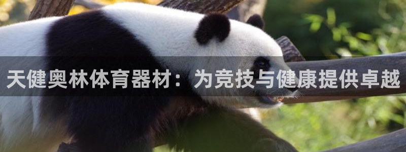 耀世娱乐官方网站入口：天健奥林体育器材：为竞技与健康