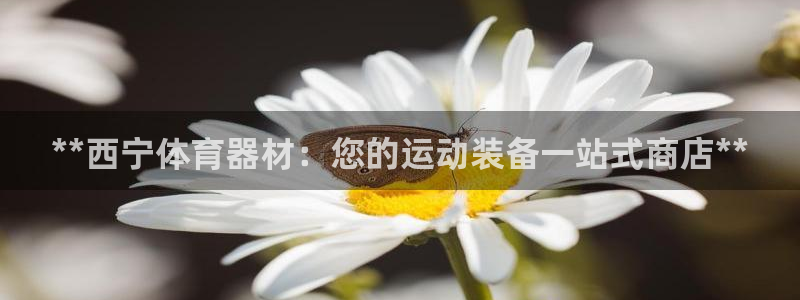 耀世集团董事长是谁啊：**西宁体育器材：您的运动装备