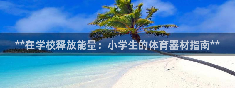 耀世集团董事长是谁啊：**在学校释放能量：小学生的体