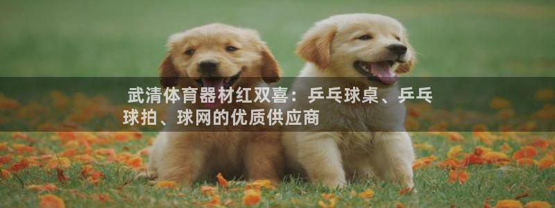 耀世娱乐挂机软件： 武清体育器材红双喜：乒乓球桌、乒