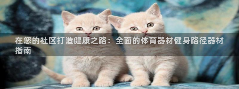 耀世娱乐辅助软件下载安装
