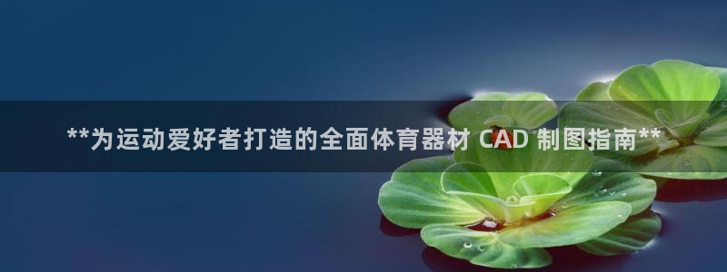 耀世小说全文免费阅读：**为运动爱好者打造的全面体育器材 C