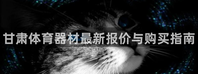 耀世娱乐平台官网登录入口下载：甘肃体育器材最新报价与购买指南