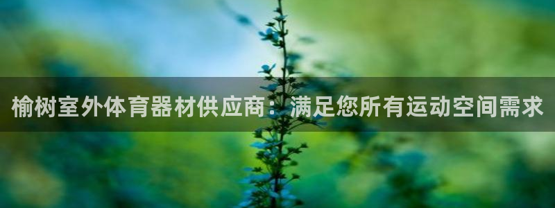 耀世娱乐官网网站入口下载：榆树室外体育器材供应商：满