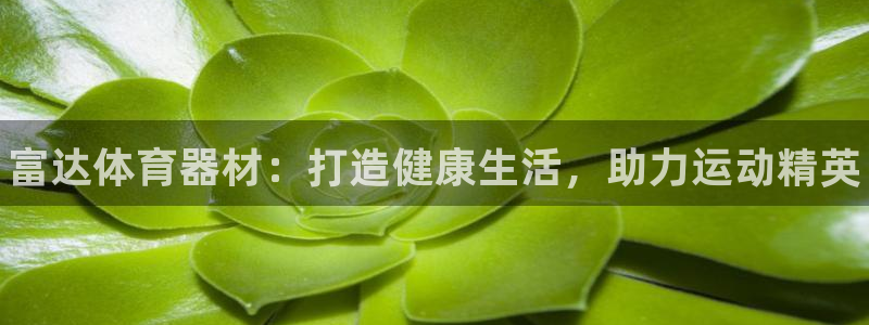 耀世娱乐登录地址在哪：富达体育器材：打造健康生活，助力运动精