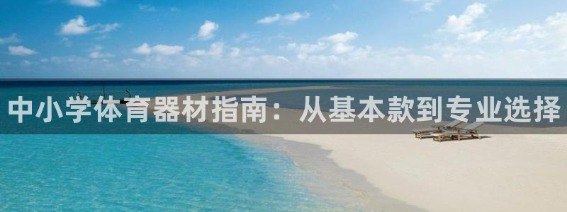 耀世盛典手游下载官网：中小学体育器材指南：从基本款到专业选择