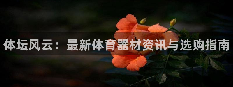 耀世开盘是什么意思