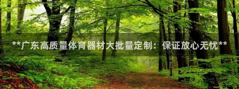 耀世娱乐登陆地址在哪：**广东高质量体育器材大批量定制：保证