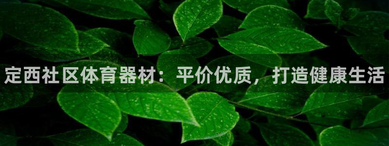 耀世平台代理怎么样：定西社区体育器材：平价优质，打造健康生活