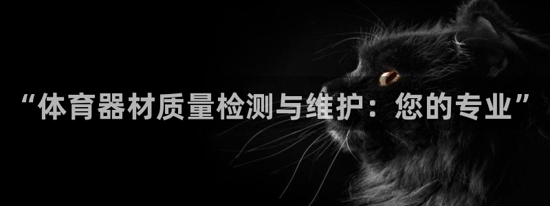 耀世平台登录地址：“体育器材质量检测与维护：您的专业