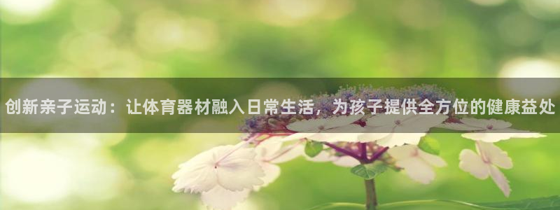 耀世平台注册链接怎么弄：创新亲子运动：让体育器材融入日常生活