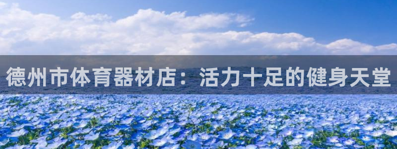 耀世娱乐平台注册地址在哪里查：德州市体育器材店：活力十足的健