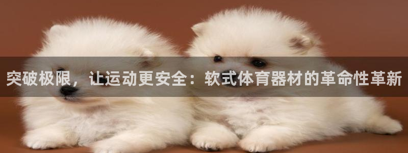 耀世幻主：突破极限，让运动更安全：软式体育器材的革命