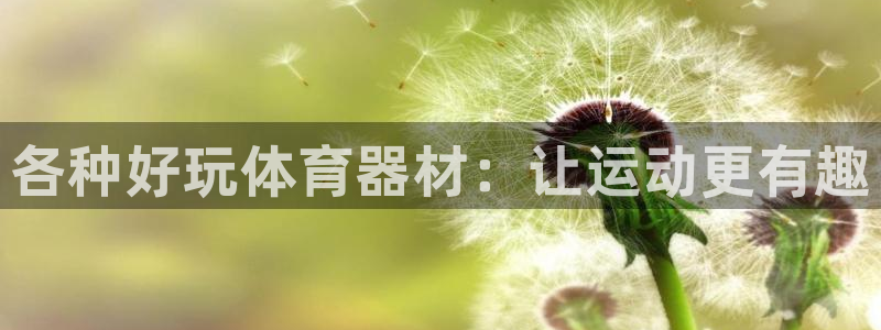 耀世娱乐安全吗可靠吗：各种好玩体育器材：让运动更有趣