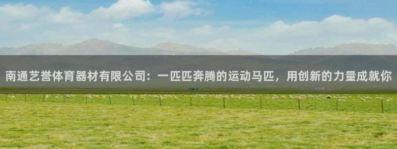 耀世娱乐然 37OO735：南通艺誉体育器材有限公司：一匹匹