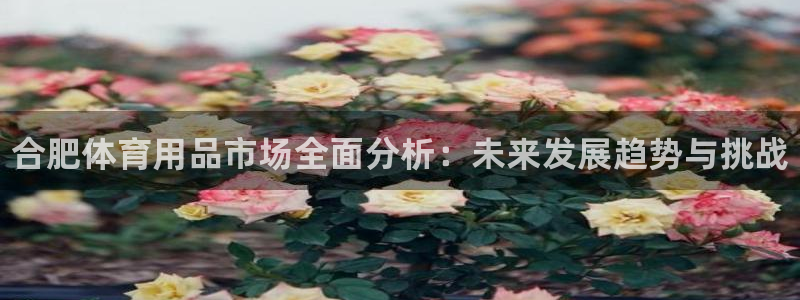 耀世平台会员中心：合肥体育用品市场全面分析：未来发展趋势与挑