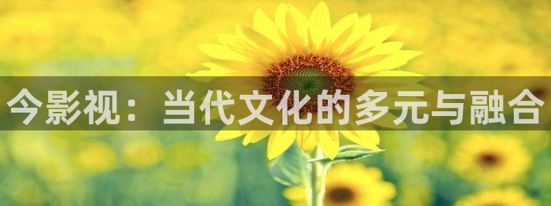 羞羞影院午夜：今影视：当代文化的多元与融合