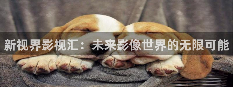 羞羞影院啵啵影院：新视界影视汇：未来影像世界的无限可能