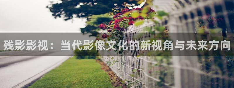 羞羞影院在线观看：残影影视：当代影像文化的新视角与未来方向