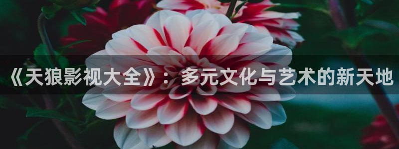两性网羞羞影院：《天狼影视大全》：多元文化与艺术的新天地