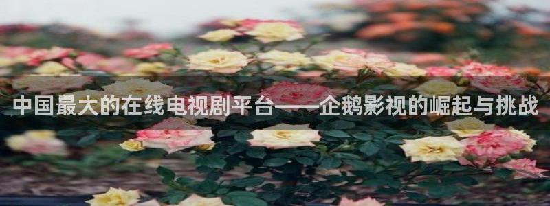 羞羞羞羞影院：中国最大的在线电视剧平台——企鹅影视的崛起与挑战
