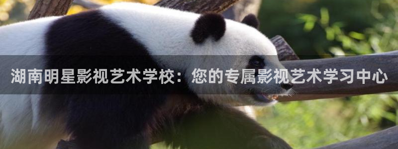午夜影院羞羞影院：湖南明星影视艺术学校：您的专属影视艺术学习中心