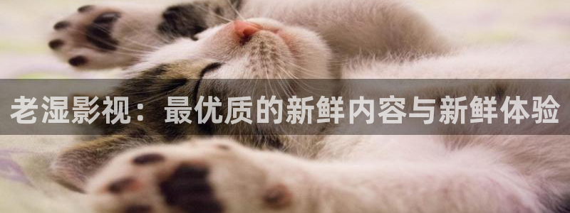 羞羞影院深夜影院：老湿影视：最优质的新鲜内容与新鲜体验