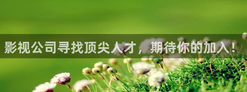 羞羞影院高清完整：影视公司寻找顶尖人才，期待你的加入！